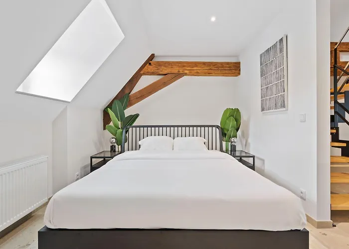 Modern In Clausen With Wifi, Kitchen&workspace *